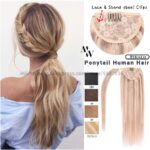 Straight Brazilian Remy Human
