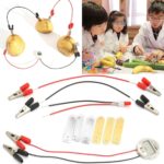 Biologia Energy Generate Electricity Science Experiment Toys School STEM Kit Brinquedos