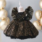 Toddler dress Sequin Tutu Lace Mesh