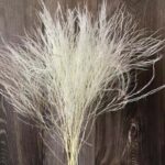 Real Dried Natural Flowers Preserved Feather Grass,Dry Arundinacea Eternelle About 40CM/10PCS